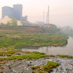 सिर्सिया नदी : औद्योगिक प्रदूषणको एउटा ‘केस स्टडी’